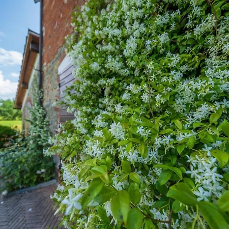 فيلة Casolare Oltre Il Cielo Porcari